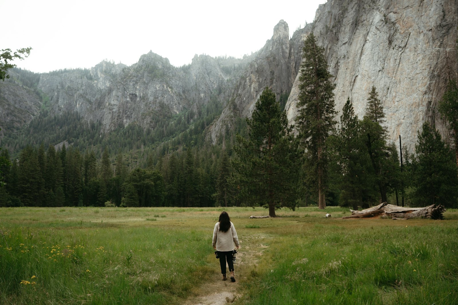 Une femme marchant dans une prairie verdoyante en direction des montagnes